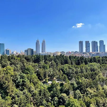 Northeasterly Flat Levent *